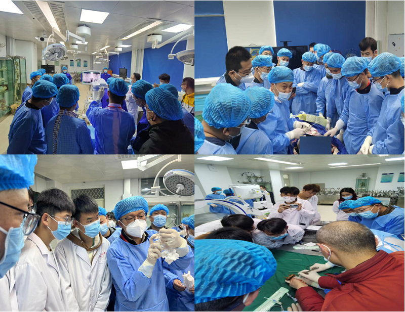 344cae5e73e0440fa12a4070597acb54.png 高级4.png