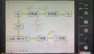 45a51ce480024c5e8ae400f596bf3545.jpg